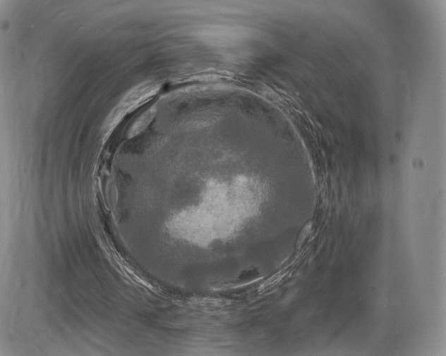 X0000084560242200703021431