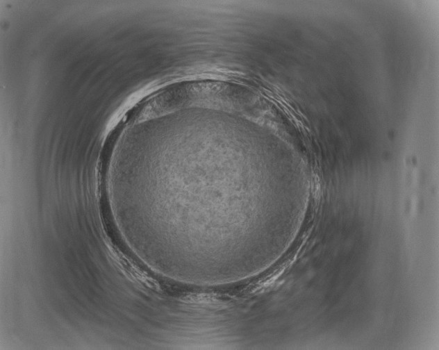 X0000084560244200703021431