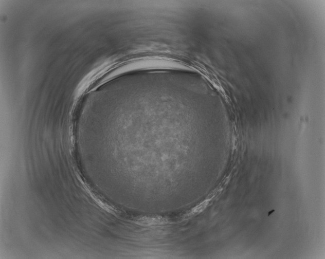 X0000084560245200703021431