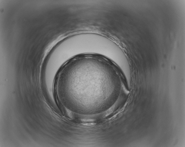 X0000084560248200703021431