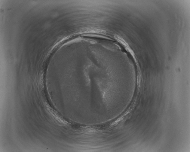 X0000084560249200703021431