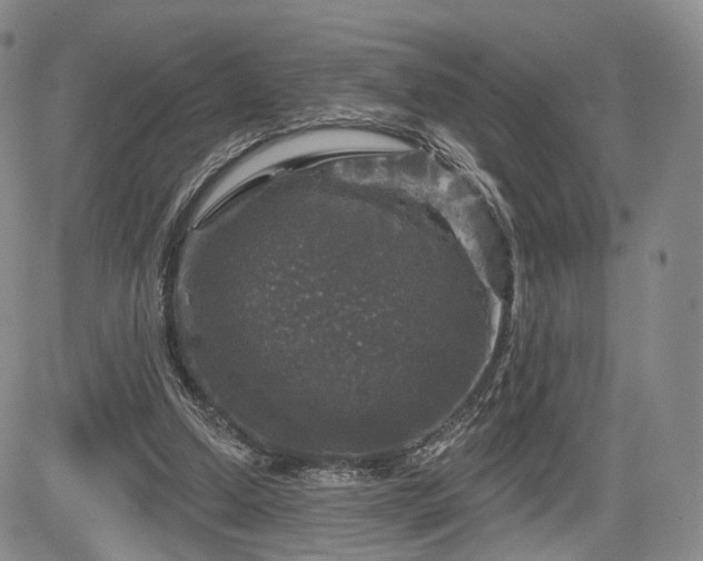 X0000084560250200703021431