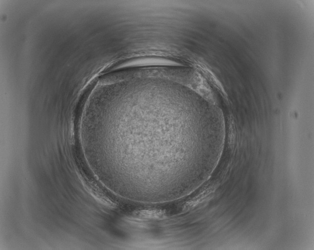 X0000084560251200703021431