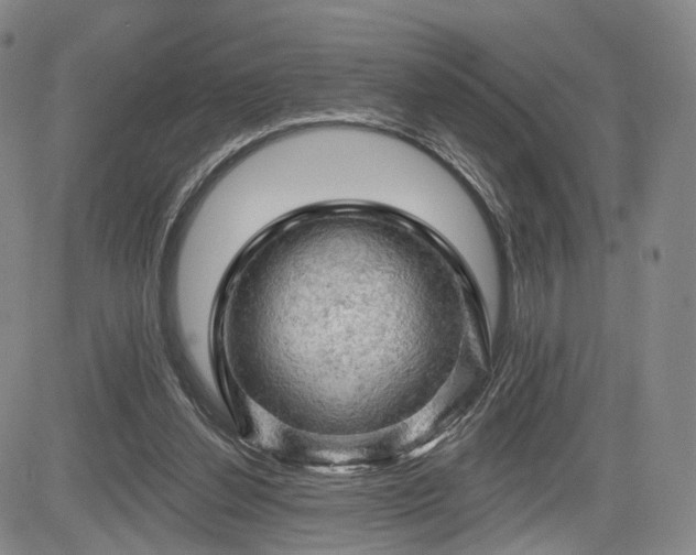 X0000084560252200703021431