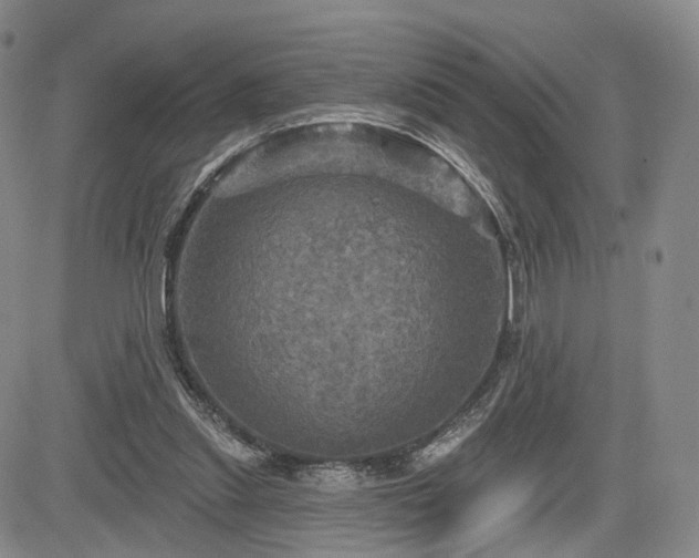 X0000084560253200703021431