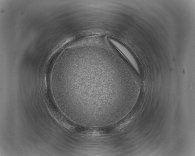 X0000084560254200703021431