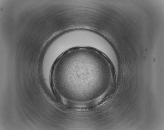 X0000084560256200703021431