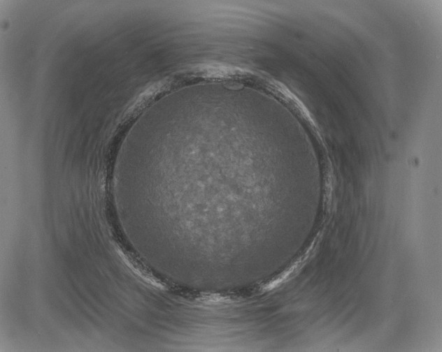 X0000084560257200703021431