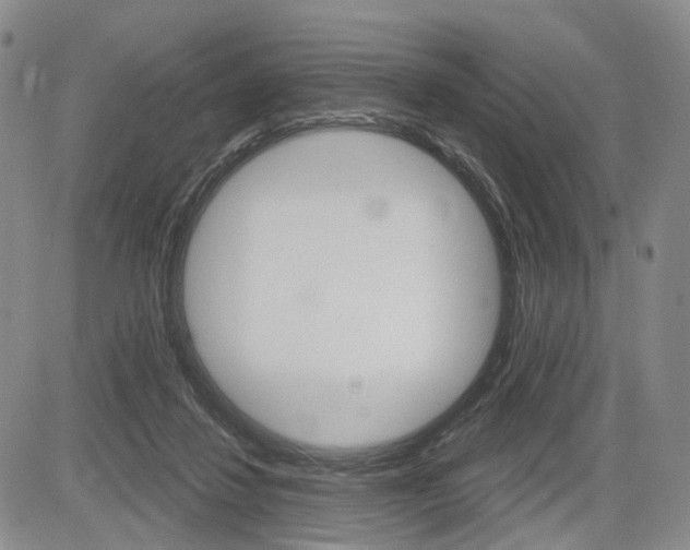 X0000084560260200703021431