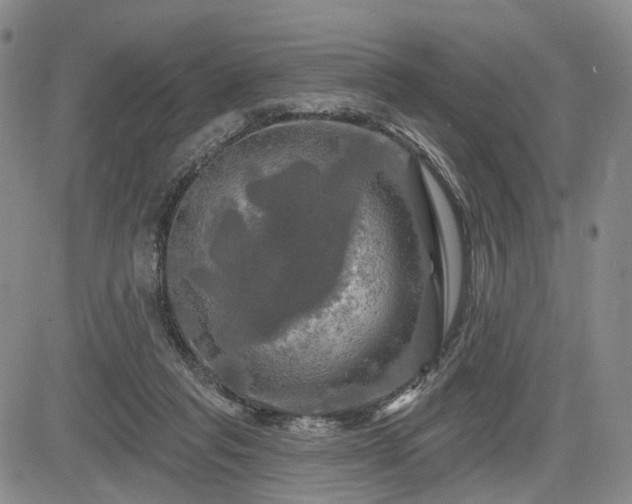 X0000084560261200703021431