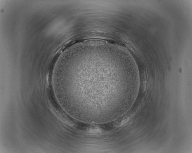 X0000084560262200703021431