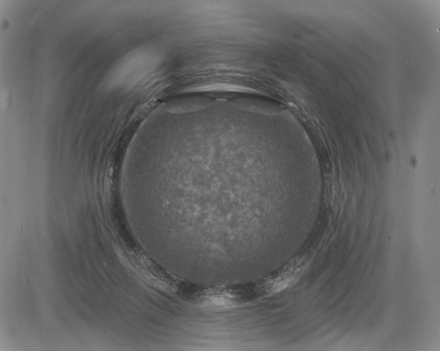 X0000084560263200703021431