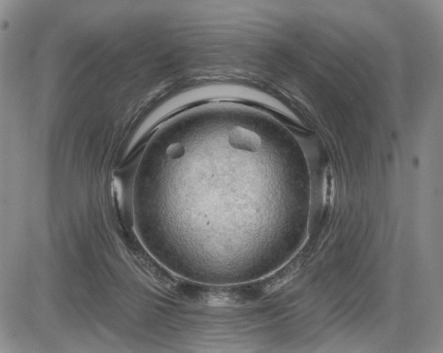 X0000084560264200703021431