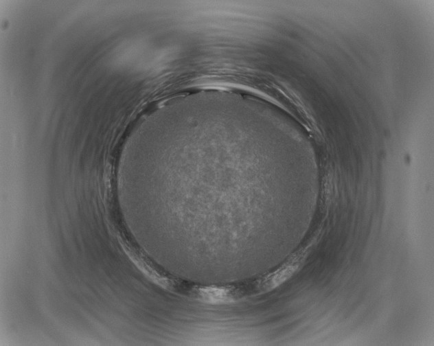 X0000084560265200703021431