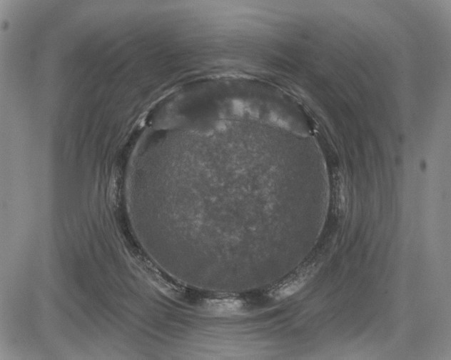 X0000084560266200703021431