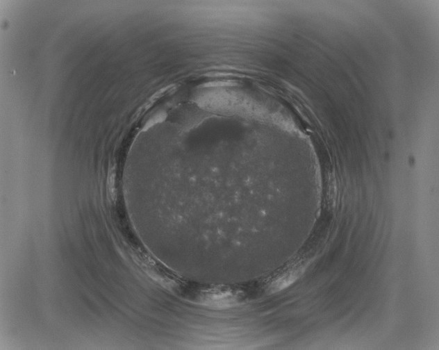 X0000084560267200703021431