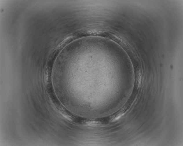 X0000084560268200703021431