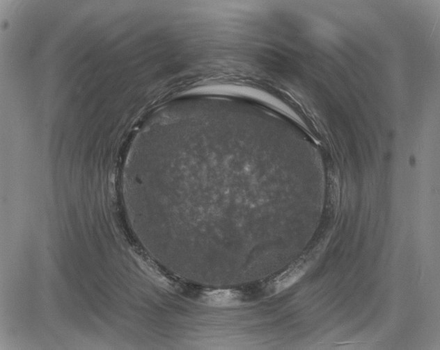 X0000084560269200703021431