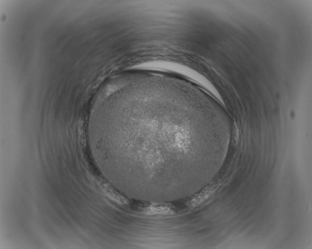 X0000084560270200703021431