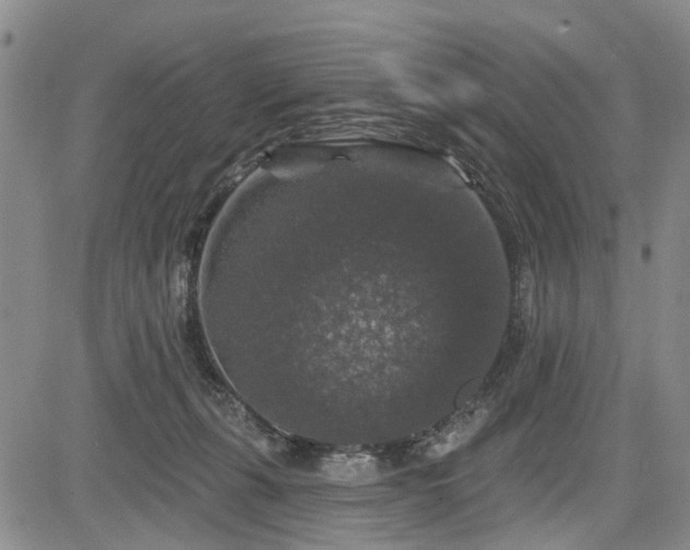 X0000084560271200703021431