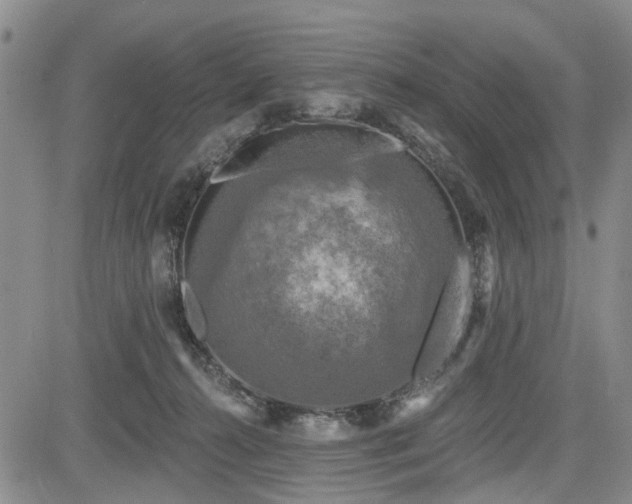 X0000084560272200703021431