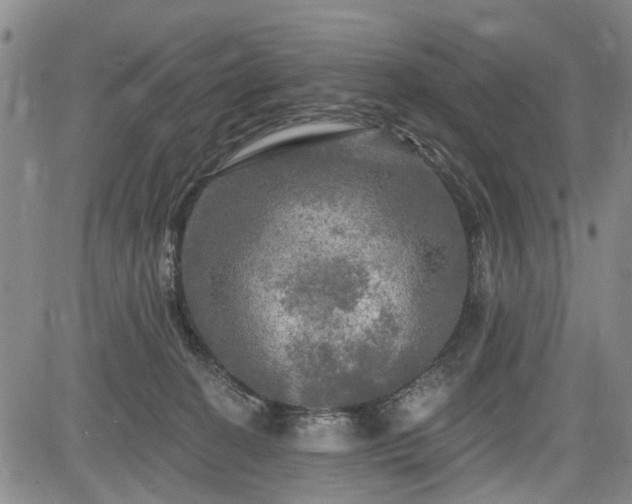 X0000084560274200703021431