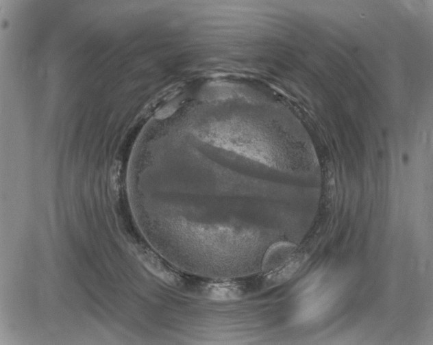 X0000084560275200703021431