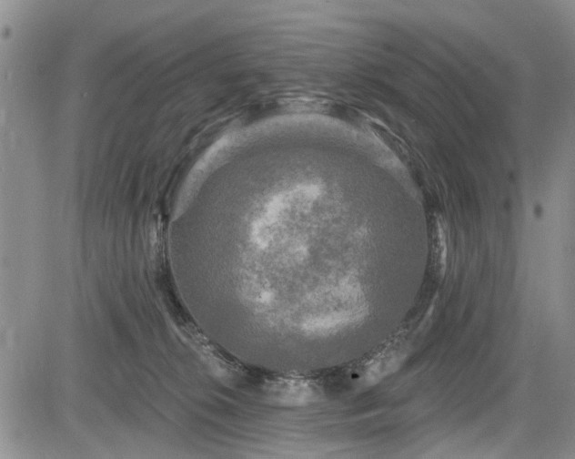 X0000084560276200703021431