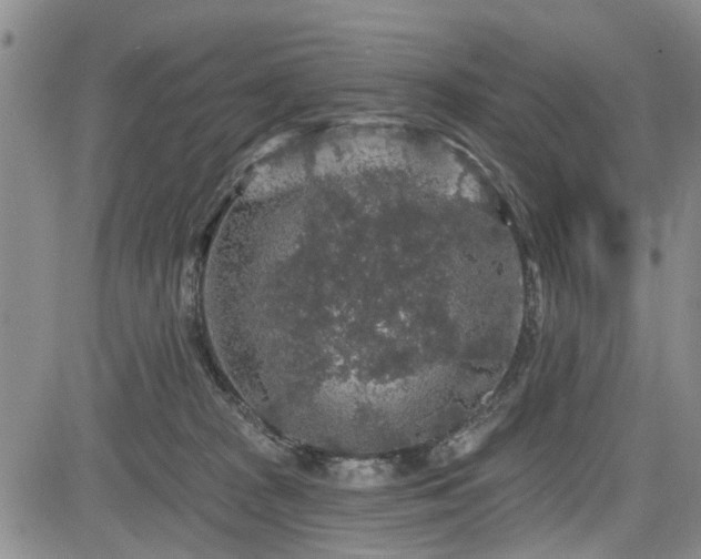 X0000084560277200703021431