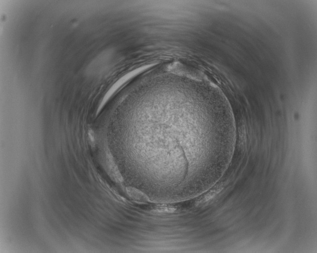 X0000084560278200703021431