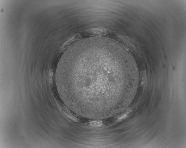 X0000084560279200703021431