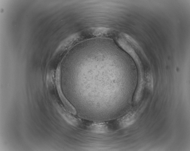 X0000084560280200703021431