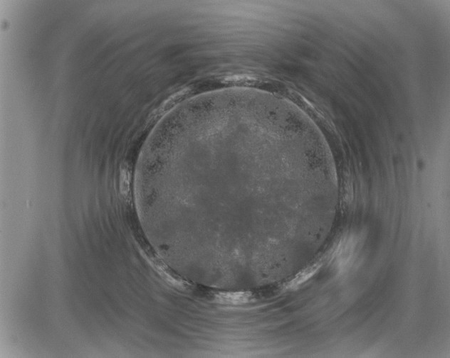 X0000084560281200703021431