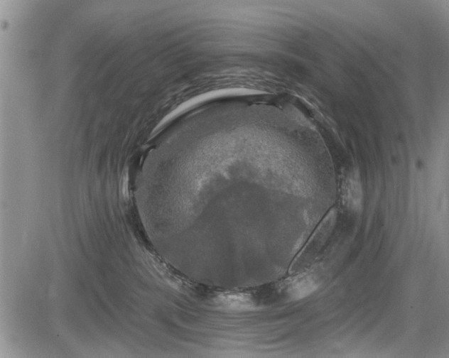 X0000084560283200703021431