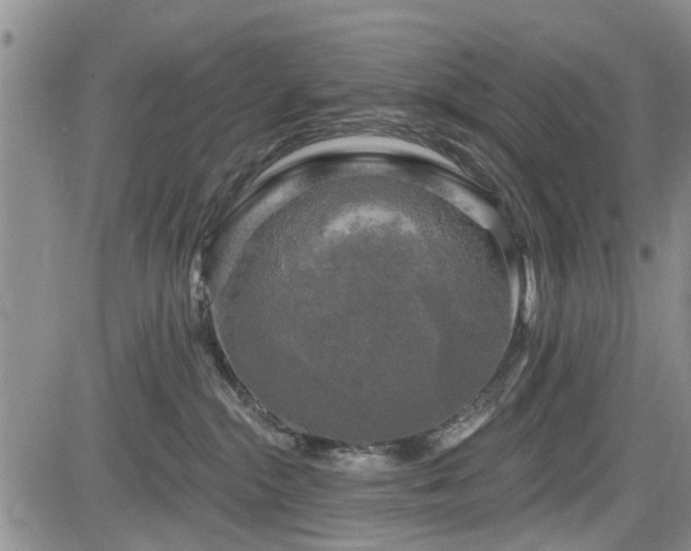 X0000084560284200703021431