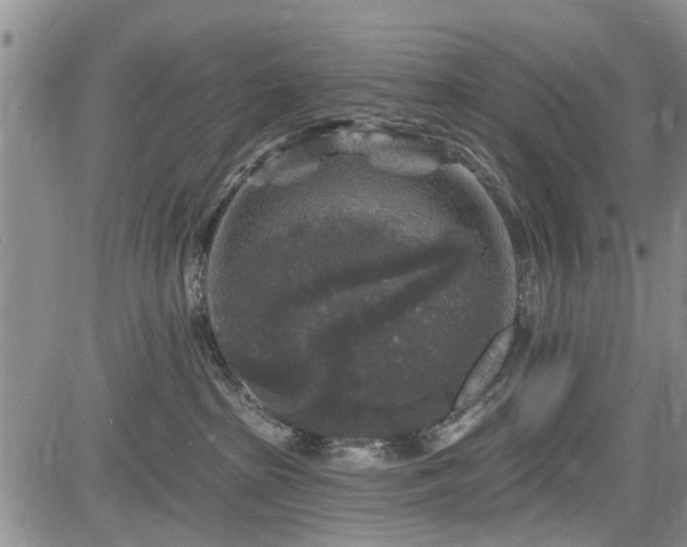 X0000084560285200703021431