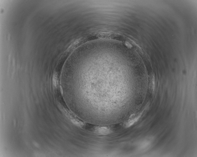 X0000084560287200703021431