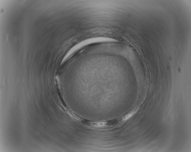 X0000084560288200703021431