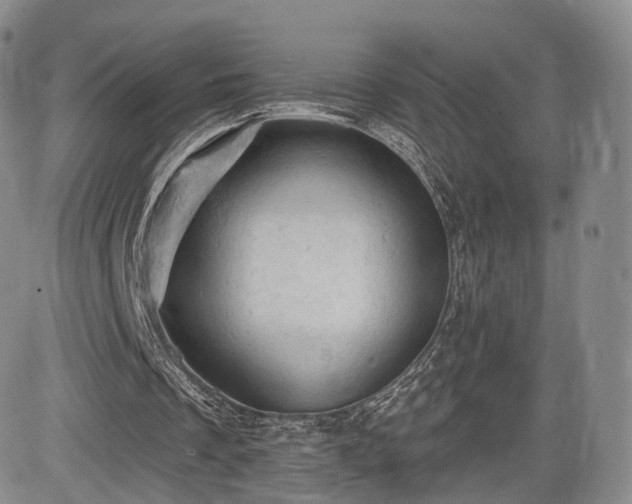 X0000084560289200703021430