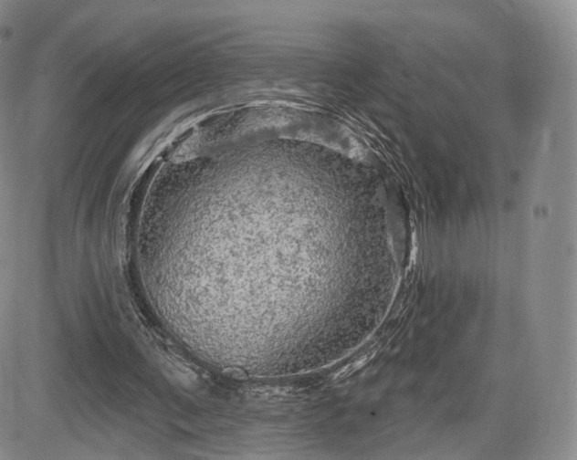 X0000084560291200703021430