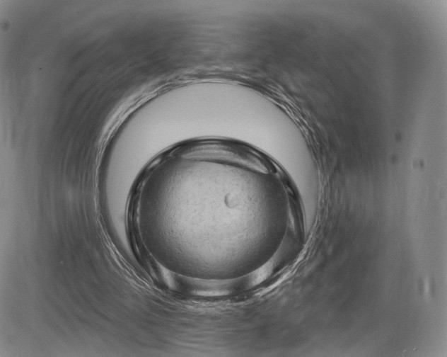 X0000084560293200703021430