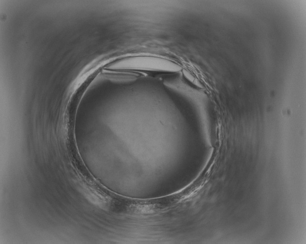 X0000084560295200703021430