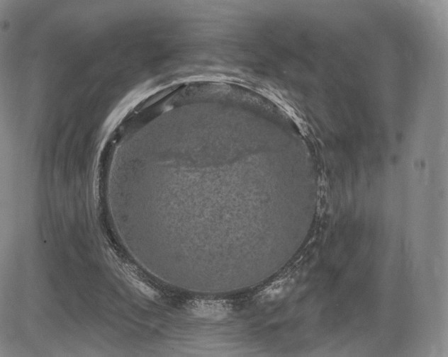 X0000084560296200703021430