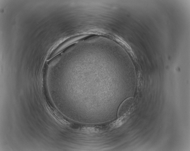 X0000084560298200703021430