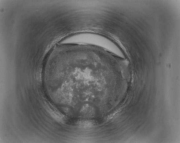 X0000084560299200703021430