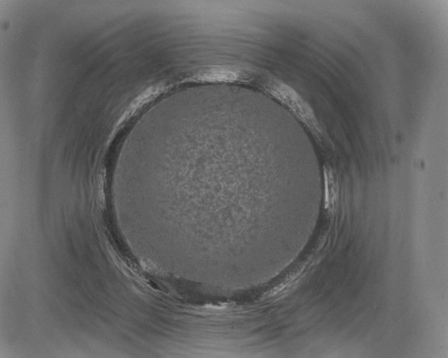 X0000084560300200703021430