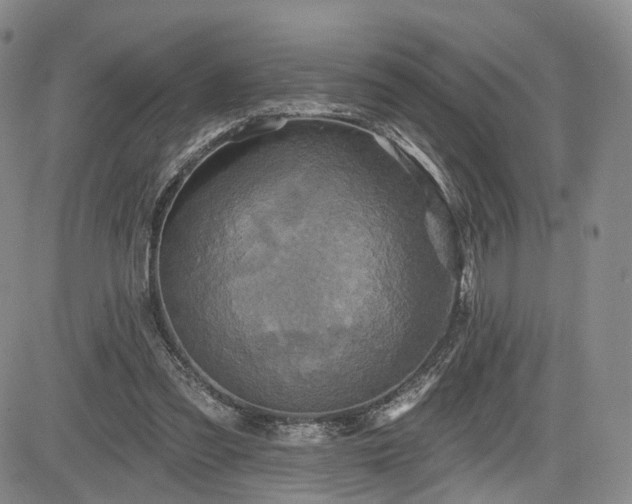 X0000084560301200703021430