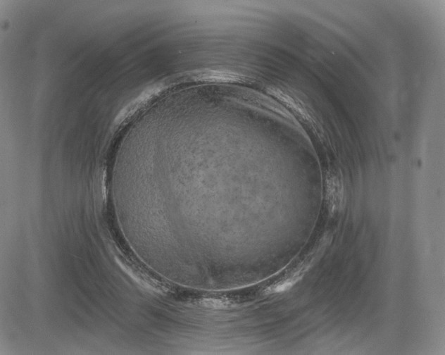 X0000084560302200703021430