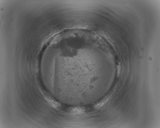 X0000084560303200703021430