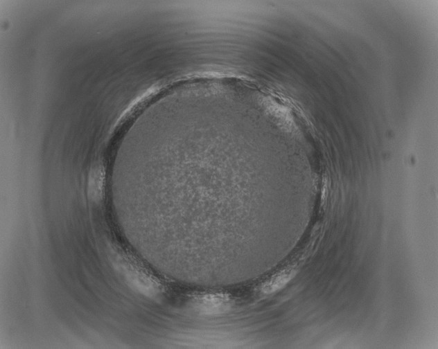 X0000084560304200703021430